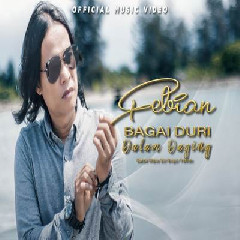 Download Lagu Febian - Bagai Duri Dalam Daging (Remix Version) Terbaru